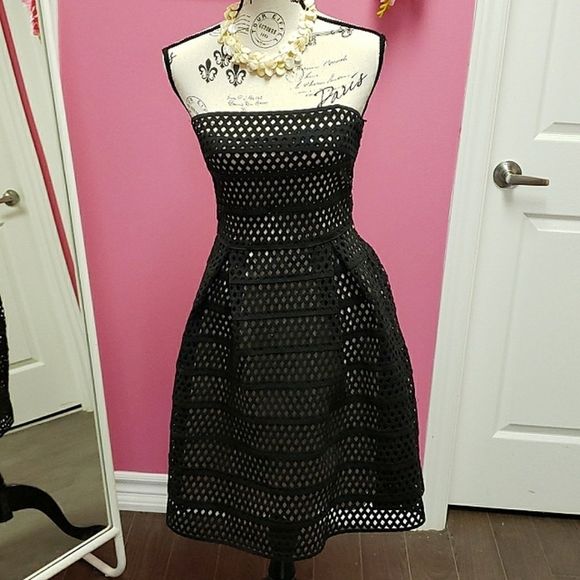 NWOT 💕💕Mystic Black Stretch Lace Dress Size M - Picture 1 of 14